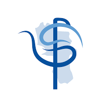 Logo studio